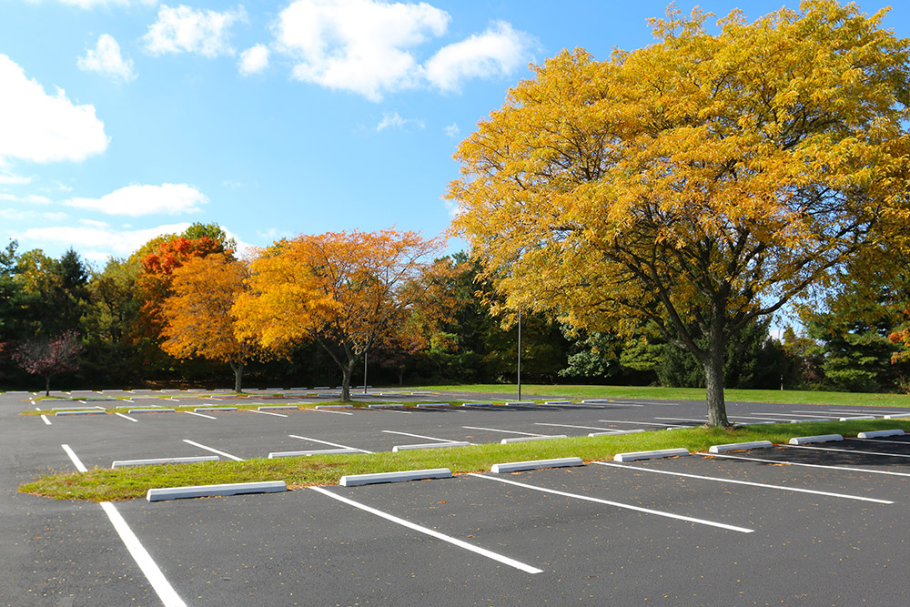 An image of a pristine, empty parking lot in the fall.