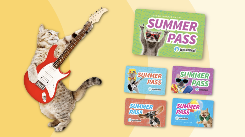 A cat stands on its hind legs playing a red electric guitar on the left. On the right, there are six colorful cards labeled "SUMMER PASS" with cartoon animals wearing sunglasses and fun outfits. The background has a yellow to white gradient.