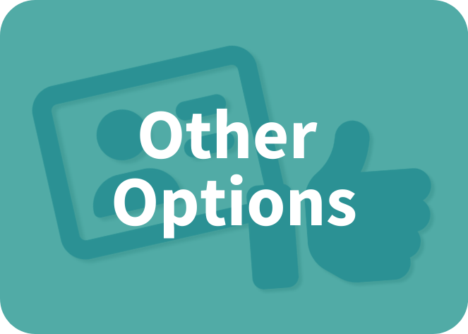 A teal-colored image featuring an icon of a photo and a thumbs-up symbol with the text "Other Options" in white, overlayed in the center, highlights the "Zero Fare for Youth" initiative.