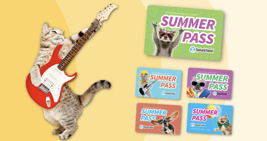 A cat stands on its hind legs playing a red electric guitar on the left. On the right, there are six colorful cards labeled "SUMMER PASS" with cartoon animals wearing sunglasses and fun outfits. The background has a yellow to white gradient.